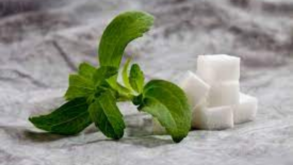 How to extract steviol glycosides from dried rebuandinana through pressurized hot water extraction?